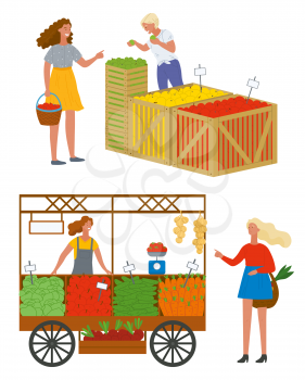 Woman buying food at market vector, isolated set of sellers and clients. Organic food and fruits. Cucumbers and carrots, tomatoes and vegetables in boxes. Pick apples concept. Flat cartoon