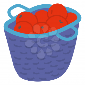 Wicker basket with red apples with leaves, picking fruit in wooden pottle. Sweet product, fresh nutrition, element of orchard, agricultural food vector. Picking apples concept. Flat cartoon