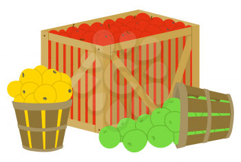 Apple fruits in box wooden container for transportation vector, isolated basket with yellow and green products. Organic food, harvesting season flat style. Picking apple concept. Flat cartoon