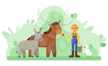 Horse and donkey in park, farmer and livestock, farming vector. Duck and man in overalls and straw hat feeding animal with apple, agriculture and farmland or ranch. Flat cartoon