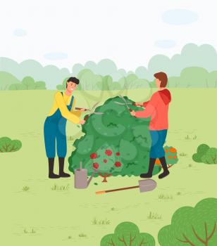 People cutting green bush with gardening scissors. Digging the ground with a shovel. Plants cultivating, agriculture horticulture vector illustration. Farmer work on farm