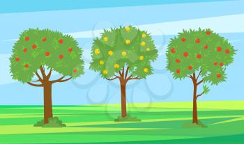 Summer garden with fruits vector, harvesting season. Apples growing on trees, red and yellow color. Landscape greenery of nature, natural production. Pick apples concept. Flat cartoon