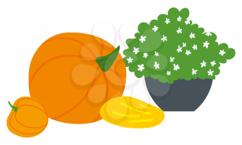 Pumpkin and melon, bush with flowers in pot, countryside object. Vegetables and green plant, agricultural product, blossom symbol, harvest festival vector