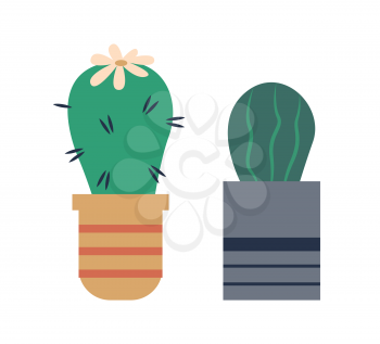 Cactus in pot vector, isolated icon of plant with thorns and flower on top. Nature decoration for home, botanical elements, pottery and house decor