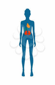 Female body and kidney with heart of different colors, poster with human infographic and organs, vector illustration isolated on white background