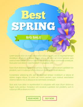 Best spring big sale off web poster with online push buttons and purple crocus flowers on sticker, vector springtime advertisement poster, info sales