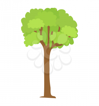 Tree icon with green leaves and brown trunk vector illustration isolated on white. Green plant in flat design cartoon style, editable element for design