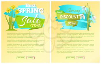Sale 70 off sticker with daffodil narcissus bulbous and snowdrops, advertisement label with springtime flowers, web poster blooming spring buds vector