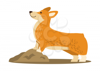 Happy cute corgi dog colorful icon isolated on white background. Vector illustration with funny puppy with front legs standing on tiny hill