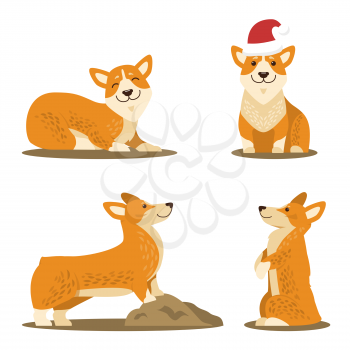 Corgi dog set of four pictures icons isolated on white background. Vector illustration with cute happy smiling dog in funny red Santa s hat in different poses