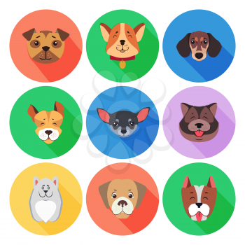 Set of purebred dogs. Vector illustration of Akita-inu and Chihuahua, Tibetan Mastiff, Boxer Dog and Dachshund, Jack Russell Terrier, Retriever and Staffordshire Terrier, Puppy of Argentinian Dog.