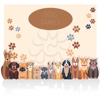 Dog family banner in purebred concept. Vector of Bernese Mountain and Central Asian hounds, French and English Bulldog, Chihuahua and boxer, Jack Russell and Bull Terrier, puppy of Argentinian Dog.