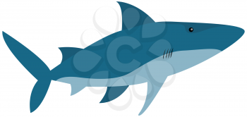 Large predatory marine fish. Ravenous animal living in sea or ocean. White shark isolated on white. Raptorial shark wild nautical animal dangerous ocean fish. Cold-blooded predator vector illustration