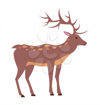 Medium-sized adult male deer with spotted fur, long antlers and short tail isolated vector illustration on white background, view from Left