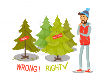 Sale and best offer of Christmas trees, poster with man wearing warm clothes choosing which pine to buy, vector illustration isolated on white