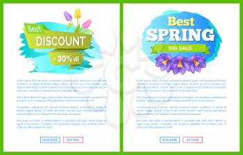 Best spring big sale advertisement label crocus purple and tulips flowers vector on web page with push buttons read and buy, emblems blossom of plants