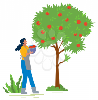 Young girl in apron and rubber boots picking red apples in orchard. Female gardener putting ripe fruits in basket, harvesting concept vector illustration. Pick apples concept. Flat cartoon