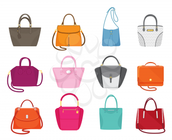 Women handbags collection of fashionable items isolated icons set vector. Bags with zippers and pockets, handles and adjustable shoulder straps lace