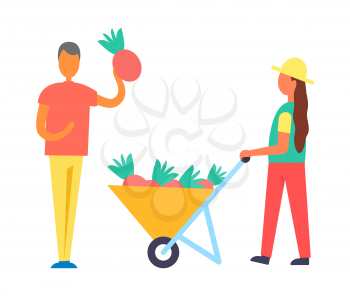 Harvest collecting of fruits into cart with ripe vegetable beets. Man gathering plants and throwing into trolley pushed by woman isolated on vector