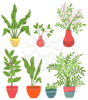 Flowers in vases, floral decor for home flat style flourishing on branches, plant with frondage, tender and elegant design, container interior. Isolated flowerpot with blooming plant . Vector in flat