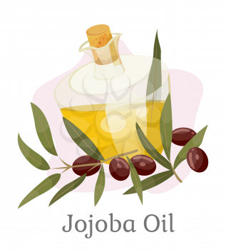 Glass vessel golden liquid inside, jojoba oil. Branch with green leaves and brown drupes near glassware. Aromatic product used in dermatology and cosmetology. Vector illustration in flat style
