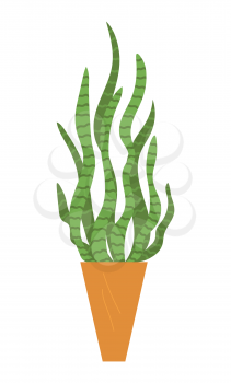 Houseplant, floral element with leaves in vase isolated. Vector green house plant in pot, home decorative element, cartoon herb or grass in flowerpot