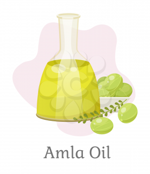 Indian gooseberries and branch with leaves near glass vessel. Glassware contains liquid inside, amla oil. Green small berries and bottle isolated on white background. Vector illustration in flat style