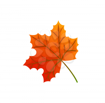 Maple leaves and autumnal symbol icon vector. Natural botanical decorative elements, fall foliage autumn trees in park. Signs of winter approaching
