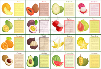 Melon and mamey posters set vector. Papaya and kumquat, carambola and longan, avocado and watermelon. Ambarella and lychee, bael pitaya exotic food