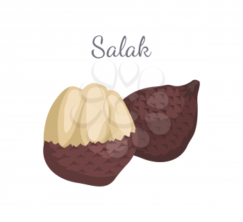 Salak Salacca zalacca palm tree exotic juicy fruit vector whole and cut isolated. Tropical edible food, dieting vegetarian tropical nutritious dessert