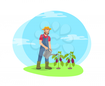 Farmer working in garden waters vegetables vector cartoon icon. Smiling bearded man in uniform, hat and boots with watering can pouring eggplant shrub