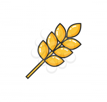 Image of common food ears of wheat vector illustration. Yellow design in flat style spica isolated on white background. Hand drawn bright cartoon sketch