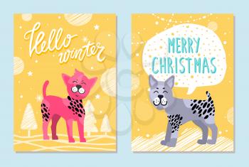 Hello winter and merry Christmas cards with friendly bullterrier and Chinese crested dog that has pink fur surrounded with stars vector illustrations.