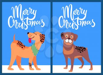 Merry Christmas congratulation from happy pets on light background. Vector illustration with congratulation from happy akita and beagle standing on snow