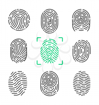 Collection of fingerprints, colorless images of prints of human and colorful one in frame, items on vector illustration isolated on white background