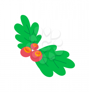 Leaves and berries colorful image of red and green colors, mistletoe that is symbol of Christmas and celebrations of holiday on vector illustration