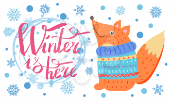 Winter is here poster with title and lots of snowflakes, image of fox wearing blue knitted sweater vector illustration isolated on white