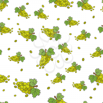 Seamless pattern of clusters of green grapes and separate berries isolated on white. Sweet juicy berry consisting of bunches with wide leaves. Vector illustration in cartoon style graphic flat design.