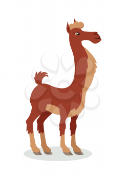 Llama cartoon character. Cute brown llama flat vector isolated on white. South America fauna. Llama icon. Wild and domestic animal illustration for zoo ad, nature concept, children book illustrating