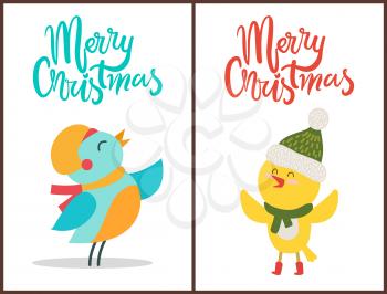 Merry Christmas posters congratulation from birds dressed in warm scarf and knitted hat. Vector illustration with congrats from animals on white background