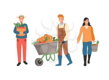 Farmers busy with work vector, man carrying gathered carrots in woven basket, male pushing carriage with pumpkins, lady with bucket and eco products