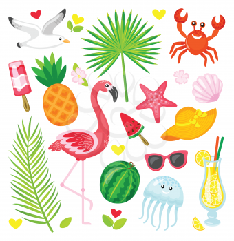 Summer symbols, tropical animals and plants, food and accessories vector. Gull and flamingo, pineapple and watermelon, crab and jellyfish, palm leaves
