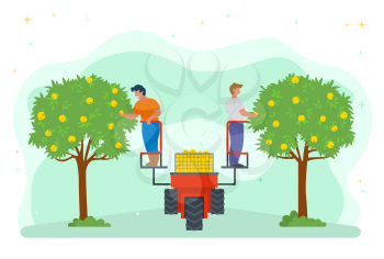 People on lifting machine vector, garden harvesting farming. Apple trees with fruits, seasonal works. Machinery harvest platform for picking organic products. Picking apples concept. Flat cartoon