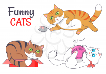 Funny cats sleeping in red box, playing with grey mouse, cute kitten and woolen thread ball vector illustration of feline animals dedicated to cat day