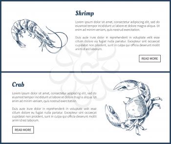 Seafood and crustacean icons vintage illustration. Hand drawn seafood set, decorative icons of shrimp and crab restaurant menu template vector sketch