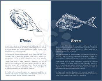 Mussel and bream fish posters set containing marine delicatessen. Unprepared seafood with its delicious meat. Products uncooked vector illustration