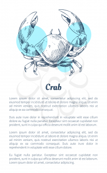 Crab marine creature as common seafood flat vector illustration in sketch style. Nautical information poster on white with blue spots and text sample.