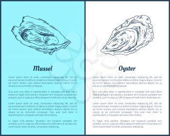 Mussel and oyster vector double color graphic. Hand drawn seafood set, decorative icons of mollusk in sketch vintage style restaurant menu template