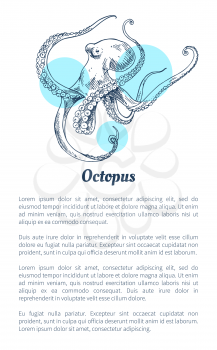 Octopus marine creature as common seafood flat vector illustration in sketch style. Nautical information poster on white and blue spots with text.