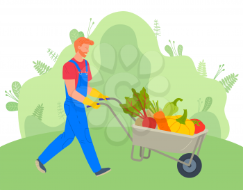 Farming man with cart vector, character wearing uniform pushing trolley with vegetables. Carrots and beetroots, tomato and pumpkins in carriage flat style